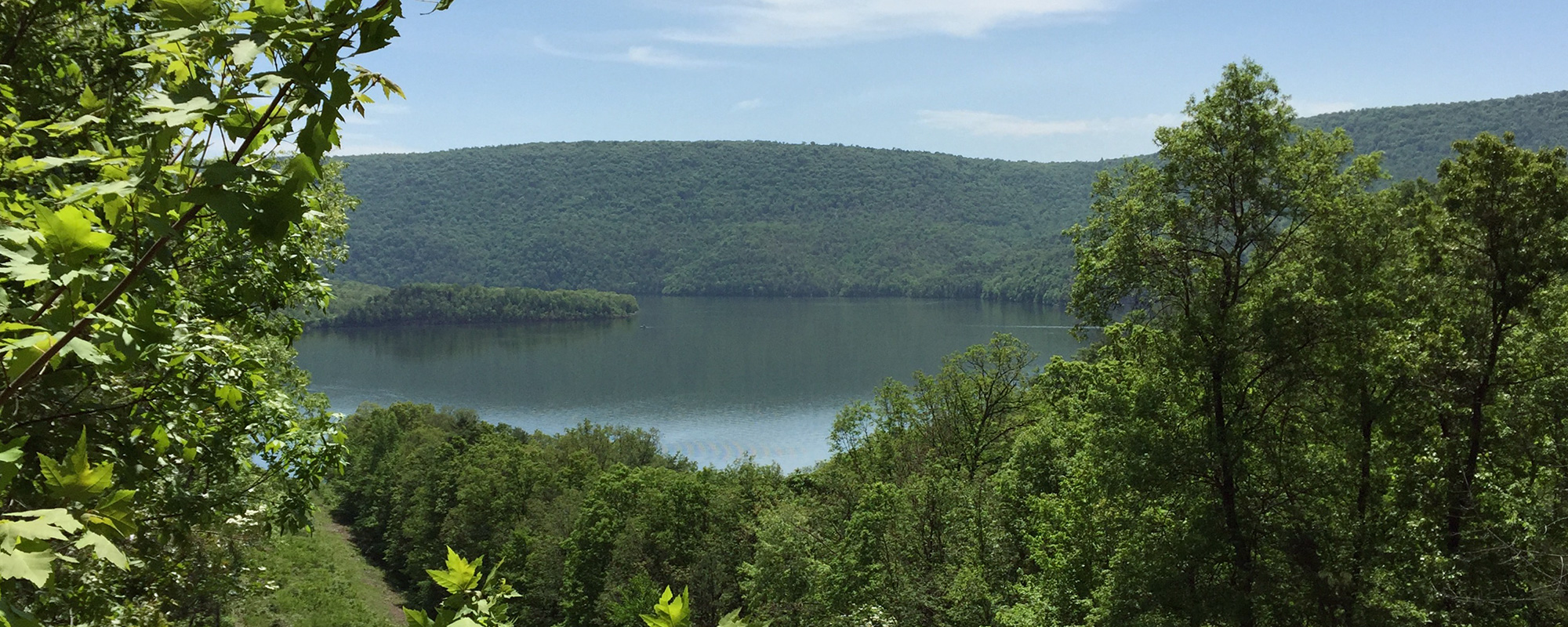 View of Raystown Lake from the hill above