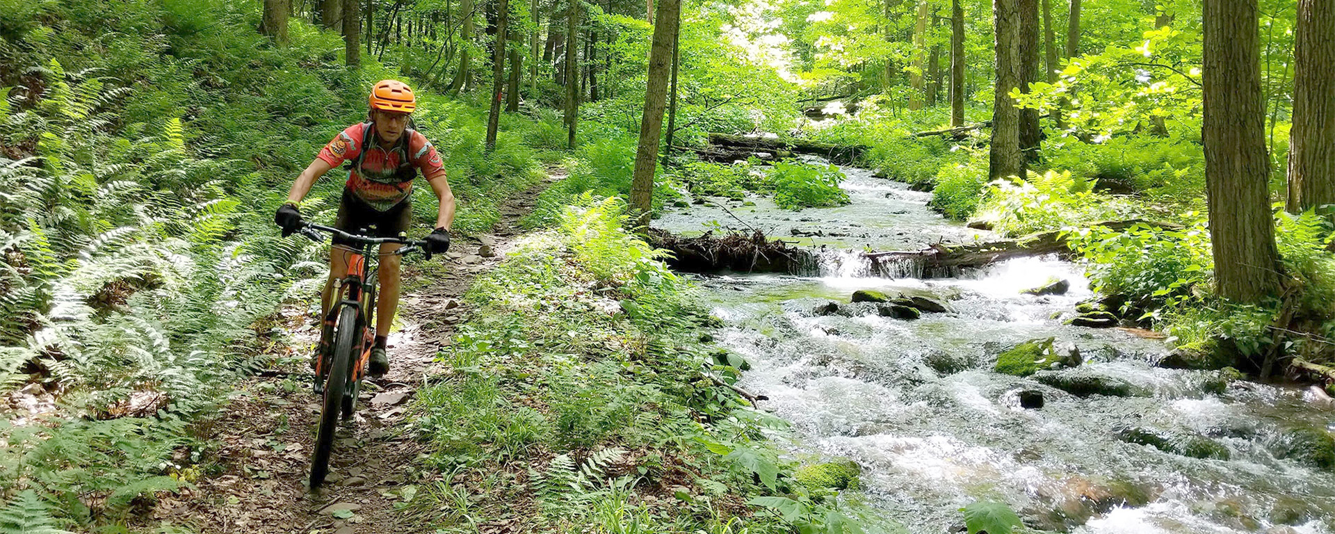 Where to find great mountain biking trails in every direction from