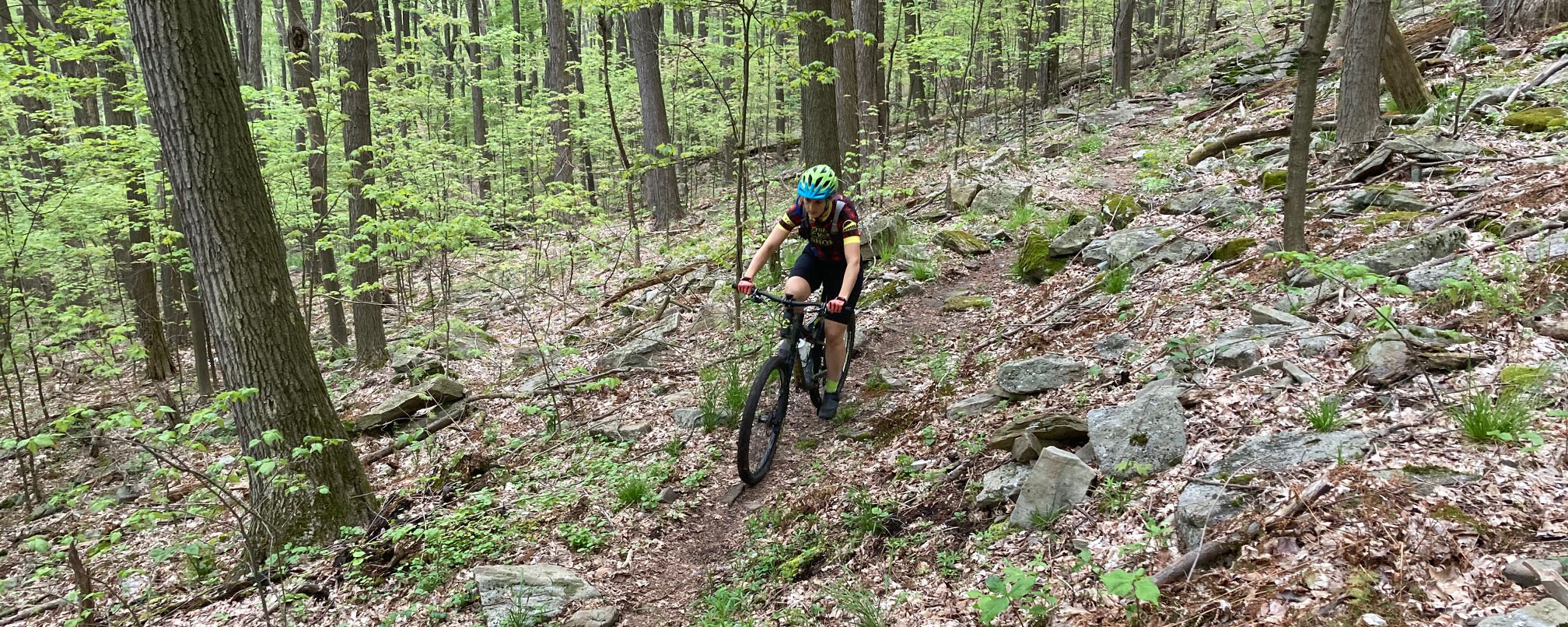 A woman rides a mountain bike through the woods at Blue Knob State Park