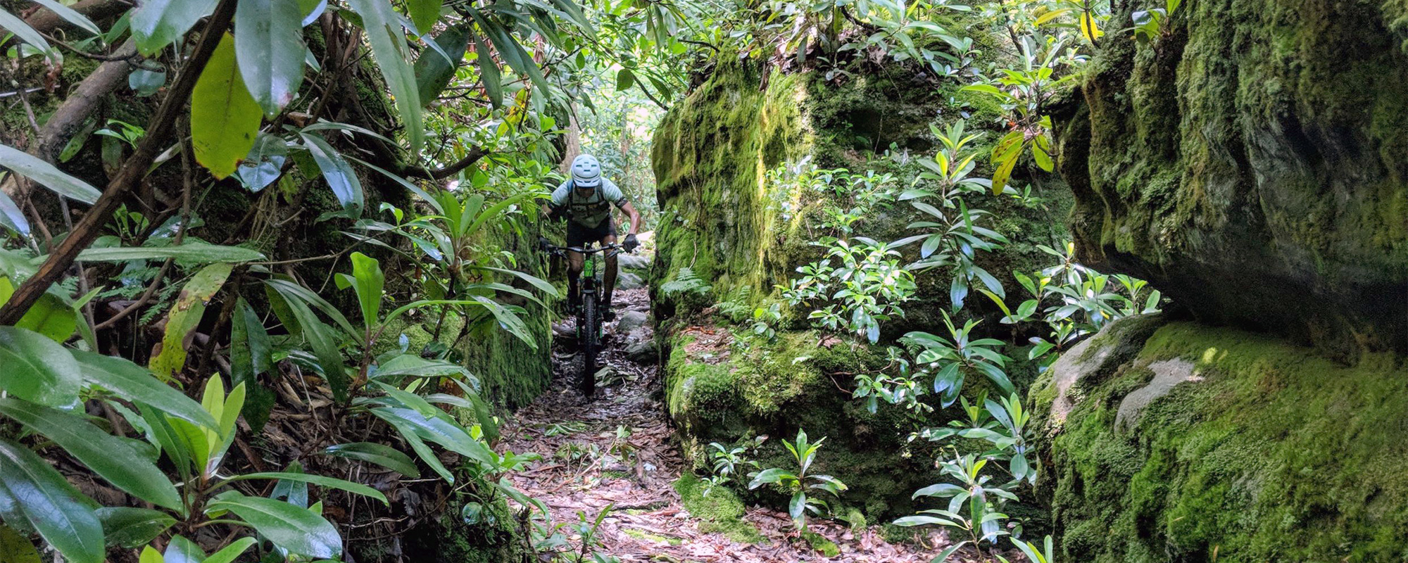 A man rides a mountain bike through a large rock outcropping in a forest