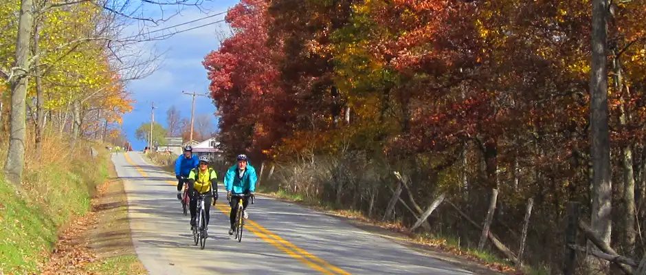 Three cyclists on the road in fall