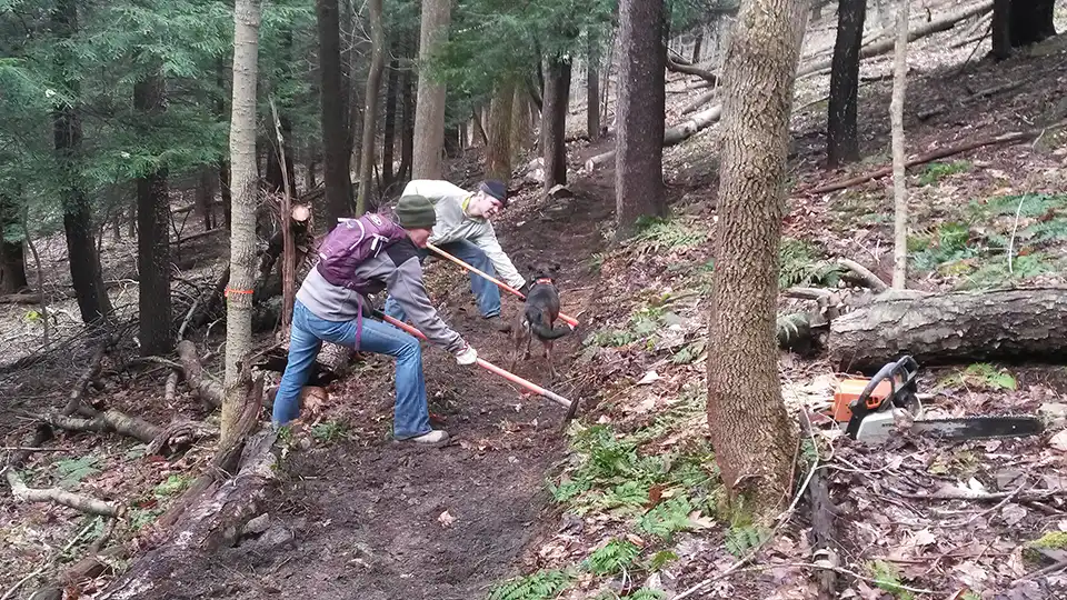 Two people building a trail in the woods